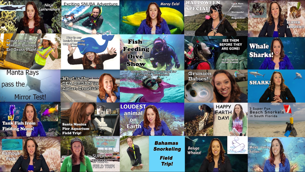 Montage of available videos